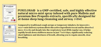 👨‍⚕️👑✅🇦🇺 Purelora® 6-in-1 Herbal BeePropolis Lung Cleanse Spray（👨‍⚕️Directly acts on COPD, asthma, chronic bronchitis (CB), respiratory infections, lung cancer, sinusitis, and other conditions🫁)